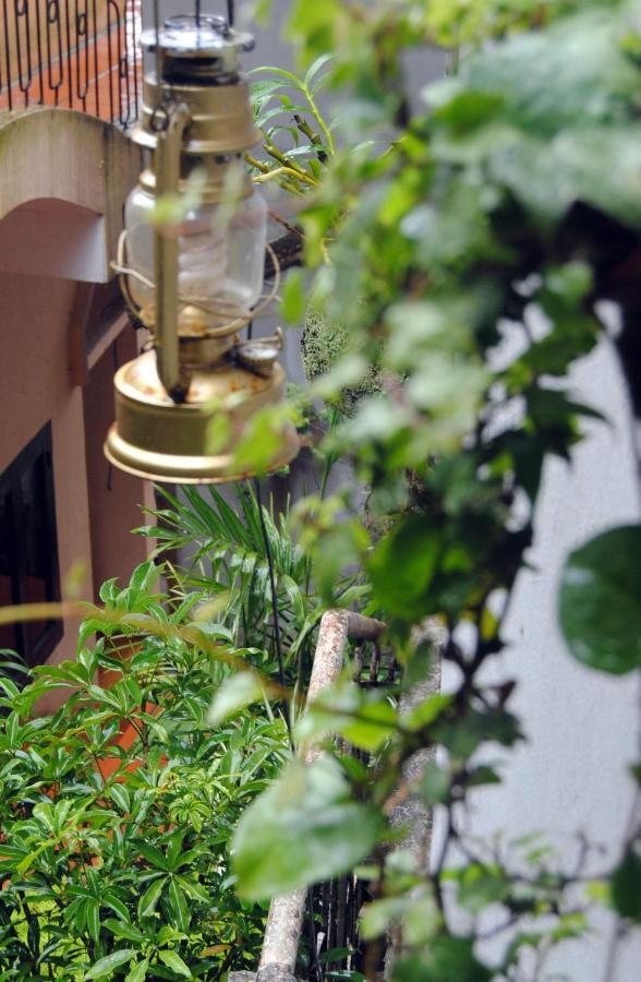 Cat Cat Hotel Sapa Екстер'єр фото